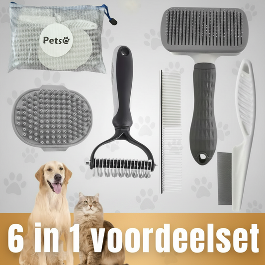 6 in 1 voordeelset – grijze achtergrond, gouden banner, pootafdrukken