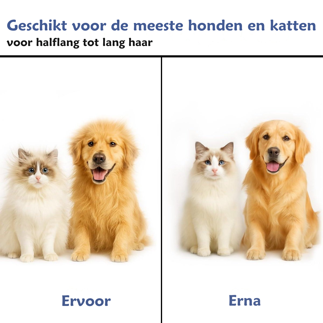 2 in 1 Voordeel Set - Ondervachtkam en Dierenborstel