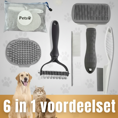 6 in 1 voordeelset – grijze achtergrond, gouden banner, pootafdrukken